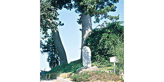 「末の松山」の写真