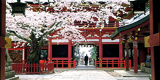 「塩釜神社」の写真