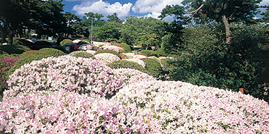 「日和山公園」の写真