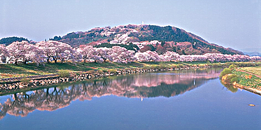 「船岡城跡」の写真