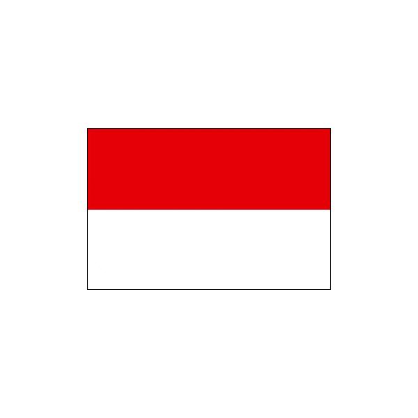 Work  inインドネシア人材交流会