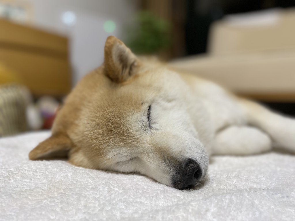 誰がために鐘は鳴る
