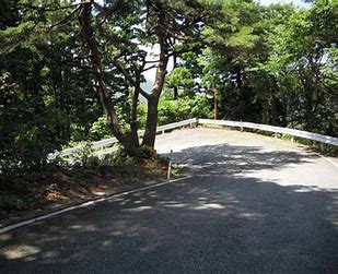 森の声