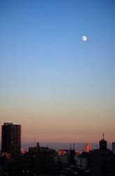 ４月入社は１６人(｡-_-｡)