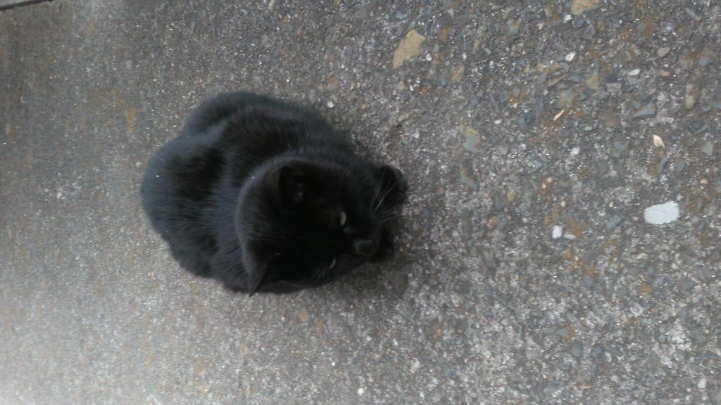 なんとかぁ(*´▽｀*)