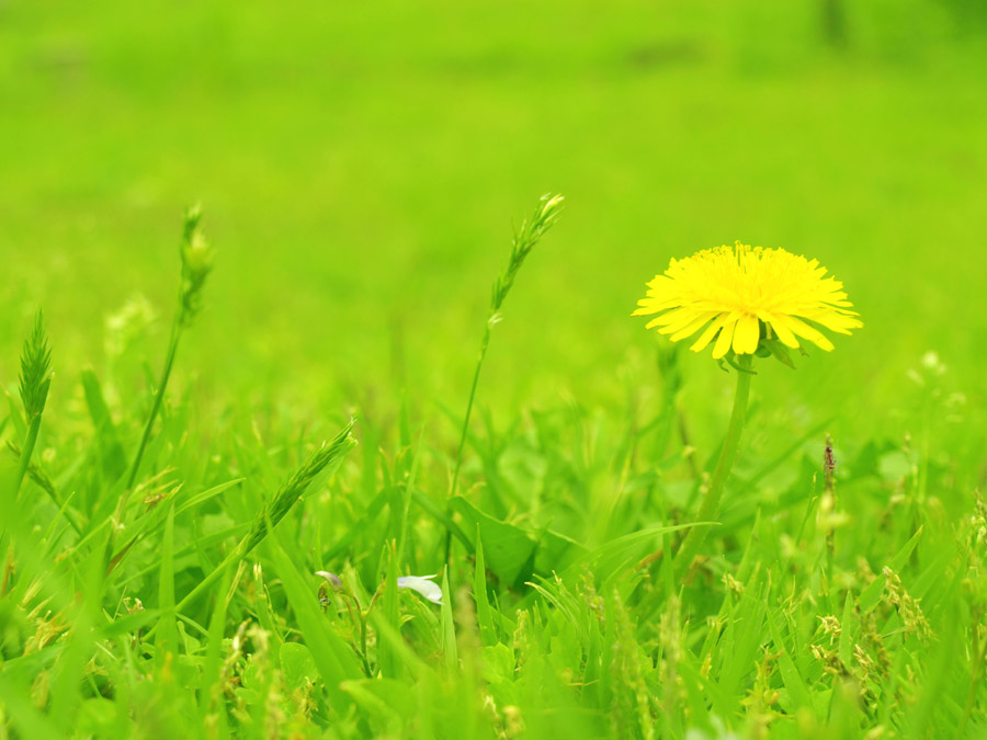 イロイロあり過ぎな(*´ω｀*)