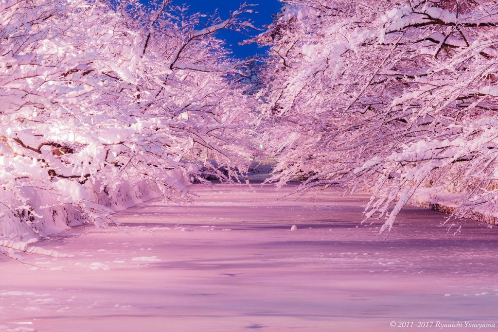 安定した事業計画