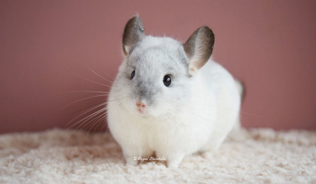 ２月半分まできた(*^。^*)