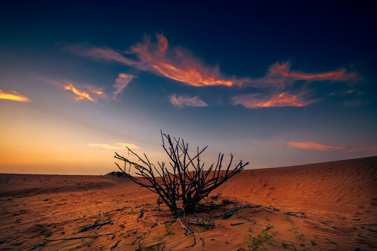 １４名さま〜ご入社