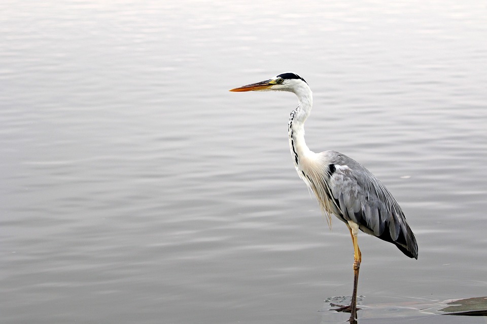 カンタンではありません(*´ω｀)そこんとこよろしく！