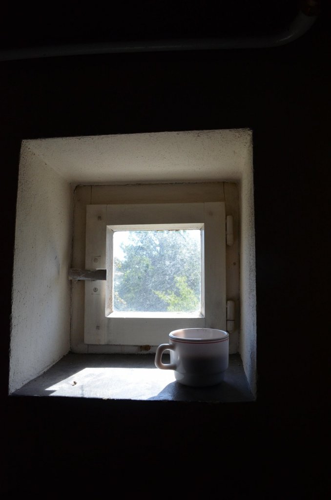 異動の時節(*’ω’*)