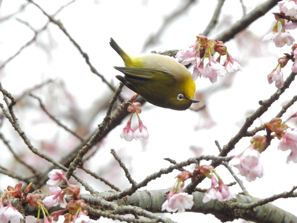 泉営業所面接(*^_^*)