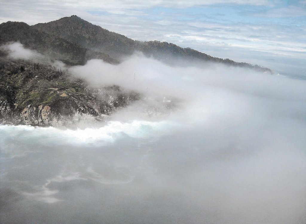 第三の男あらわる(*’ω’*)