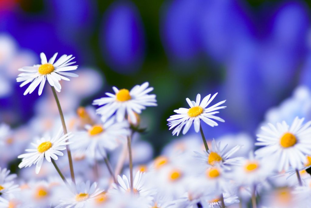 公私混同しとる^_^;