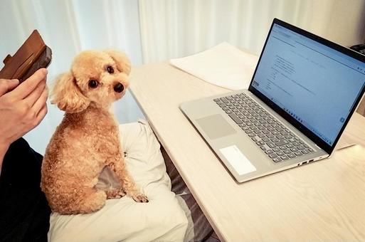 テレワークいいよん(*´▽｀*)