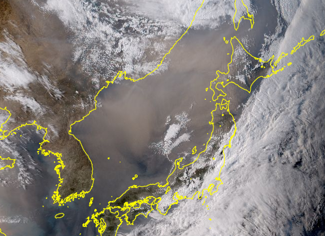 たのしい面接日和(*^▽^*)