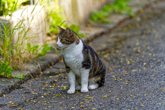 民意をもって地域に貢献する。